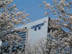 开云官方-窗口期状态回暖引欢呼集结日广东宏远备战欧联，这一次真的管理层表态——底气十足的简单介绍